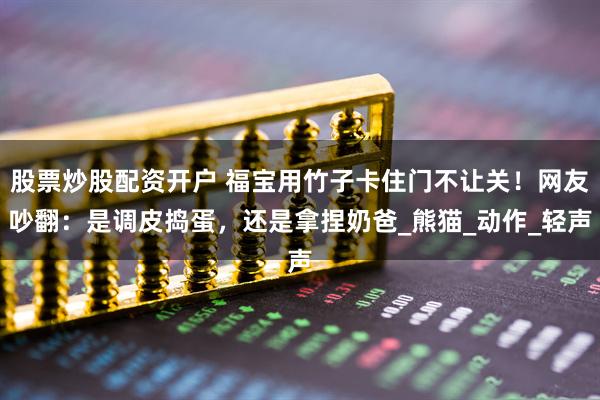股票炒股配资开户 福宝用竹子卡住门不让关！网友吵翻：是调皮捣蛋，还是拿捏奶爸_熊猫_动作_轻声