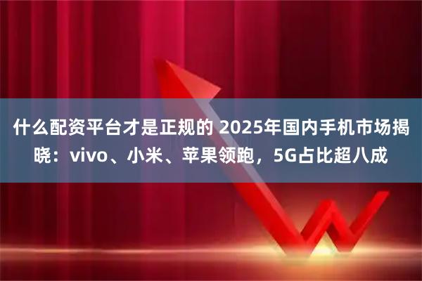 什么配资平台才是正规的 2025年国内手机市场揭晓：vivo、小米、苹果领跑，5G占比超八成